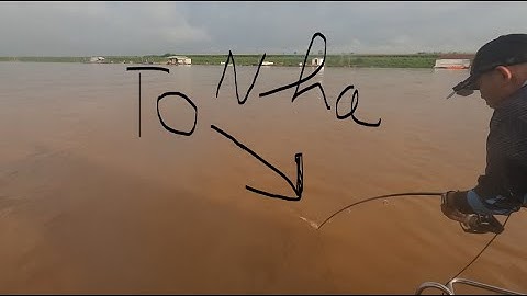 Câu Cá Thiên Nhiên // Điểm Câu Cá Tra Mới Ở Hồ Trị An Chắc Nhiều Người Biết