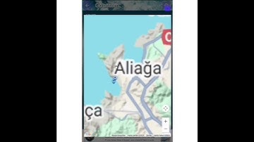 Ahoy, sailors! ⚓ Ever arrived in a new port and wished you had the inside scoop?