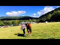 Le gustaba montar a caballo 🐎 grupo laberinto