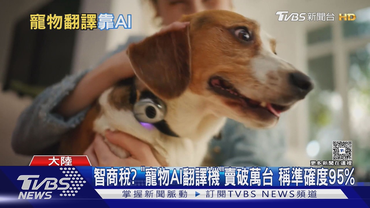 陸企打造3700元「寵物AI翻譯機」爆賣萬台 網酸:智商檢測器?｜TVBS新聞 @TVBSNEWS01