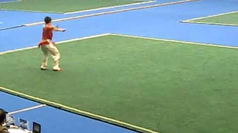 4th World Traditional Wushu Championships - USA Ga...
