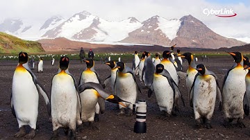 CyberLink PhotoDirector | How to Use Content Aware Removal