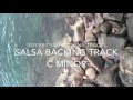 Interesting Backing Tracks | Crazy Sunday Salsa | Cm