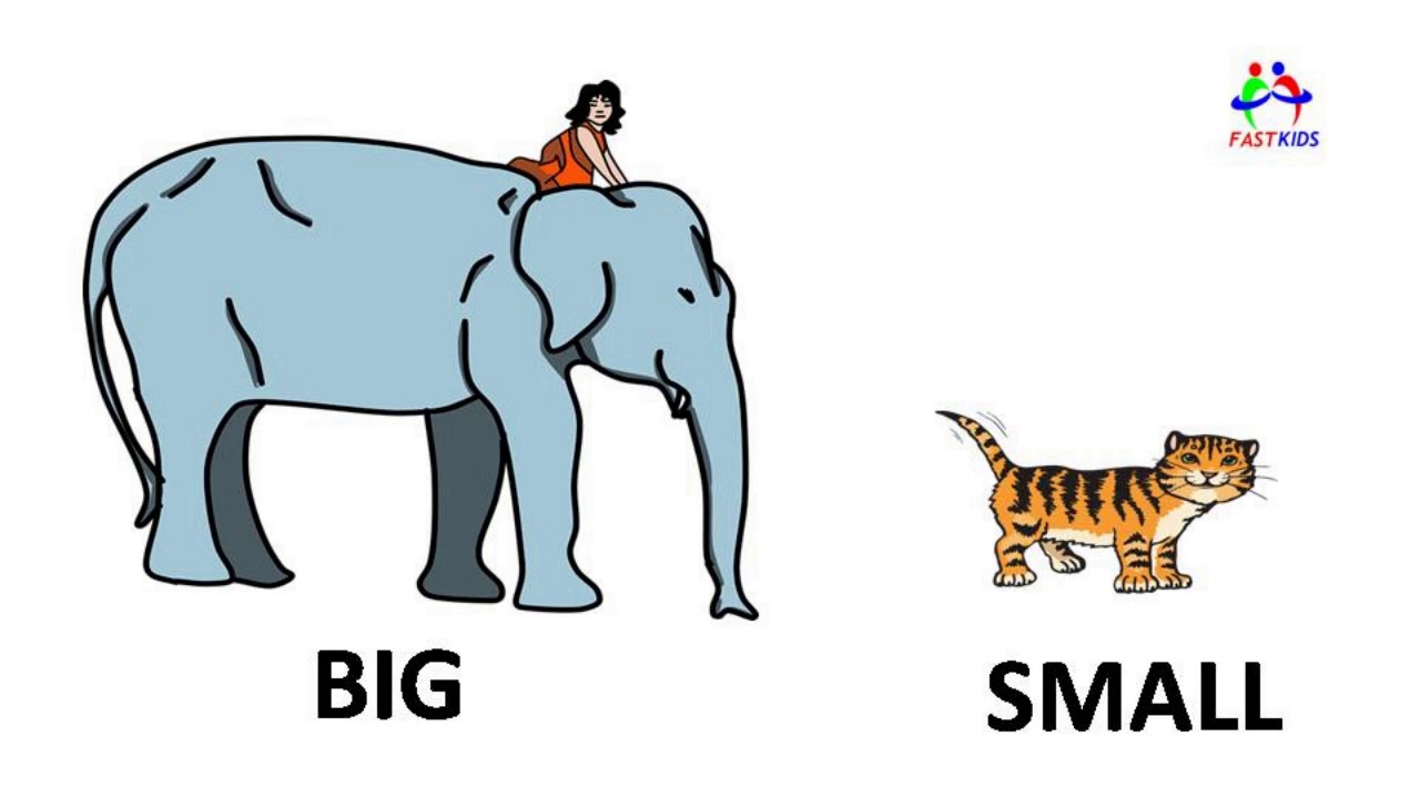 Small big com. Big small для детей. Карточки big small. Big and small animals. Big small картинки для детей.