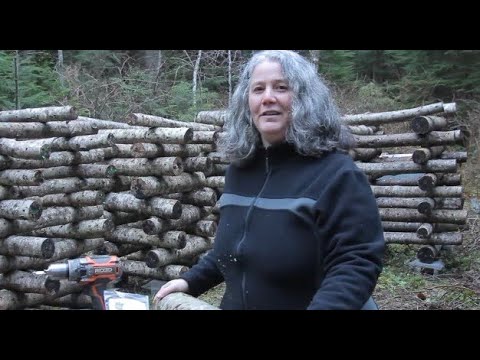 Growing Mushrooms on Log in Canada
