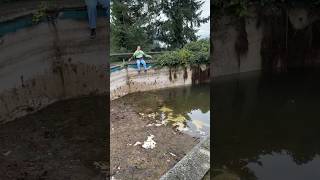 we cleaned our abandoned pool