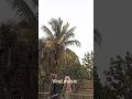 viral music #song #hindisong #music #video #shorts #short #viralmusic #video