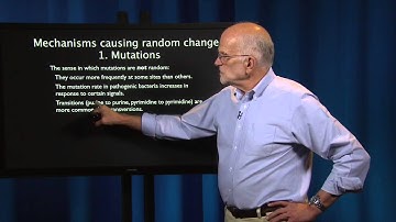 1.2 - Evolutionary Thinking: Random Evolution, The Role of Chance