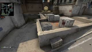 How to troll bots on CS:GO (with bot comments!)