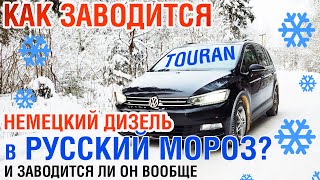 Как заводится VAG 2.0 TDI зимой