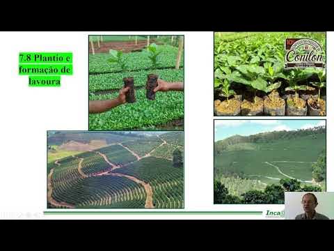 10º Simpósio do Produtor de Conilon – Conilon e Robusta no Brasil e no  Mundo – Cafe Conilon