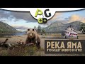 Русская Рыбалка 4 - Стрим с реки Яма. Смотрим, что появится в РР4