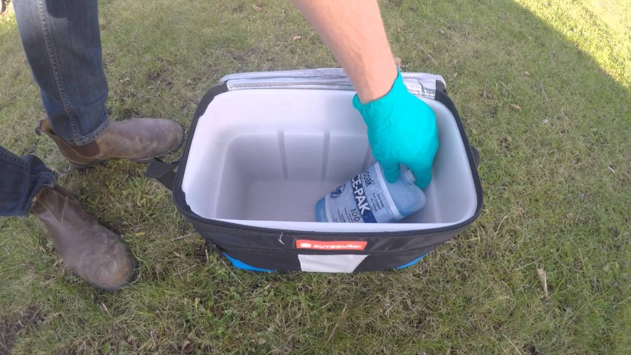 KLSA Lake Water E.coli Sampling Video YouTube