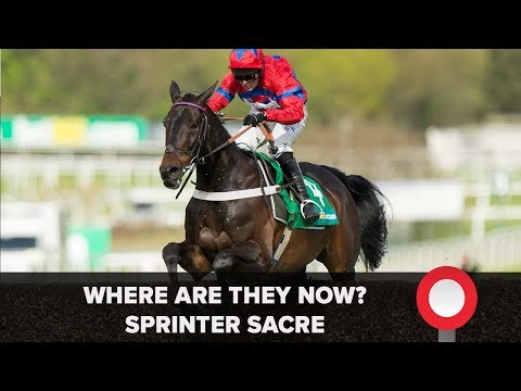 Video: Gdje je sada sprinter sacre?