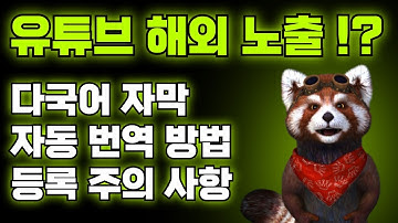 유튜브 해외 노출 다국어 자막 상세 설정 (feat. SUB, SMI, SRT 자막 등록  자동 번역  고급 번역 팁)