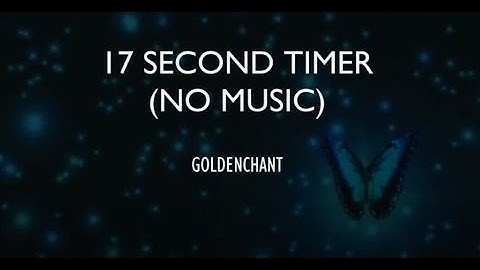 17 SECOND TIMER (NO MUSIC)