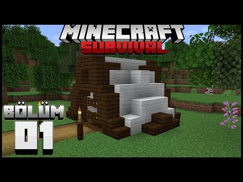 TEMEL İŞLER ve BAŞLANGIÇ ÇADIRI ! ┇Minecraft Survival ▹Bölüm 01