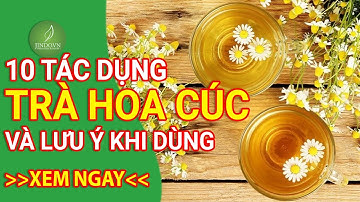 10 Tác dụng của trà hoa cúc và những lưu ý khi dùng trà hoa cúc - Thảo dược xanh số 1 Jindo.vn