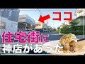 【三重県津市:NIKKI COFFEE SPACE】発見!たまたま見つけたお洒落カフェが神店だった