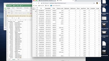 D-Tale - copy columns and rows to clipboard