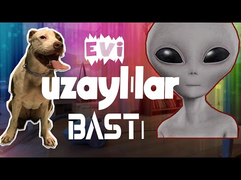 Evi Uzaylılar Bastı