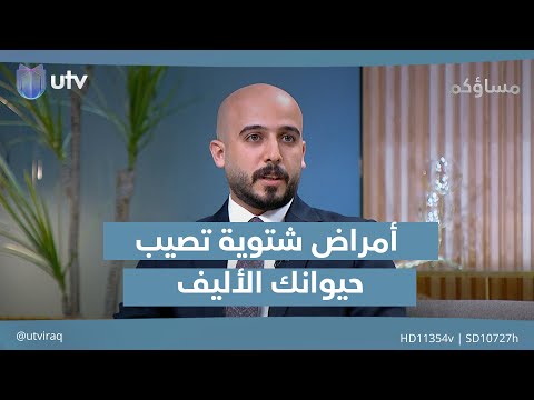 أمراض قد يعاني منها حيوانك الأليف مع قدوم الشتاء مساؤكم