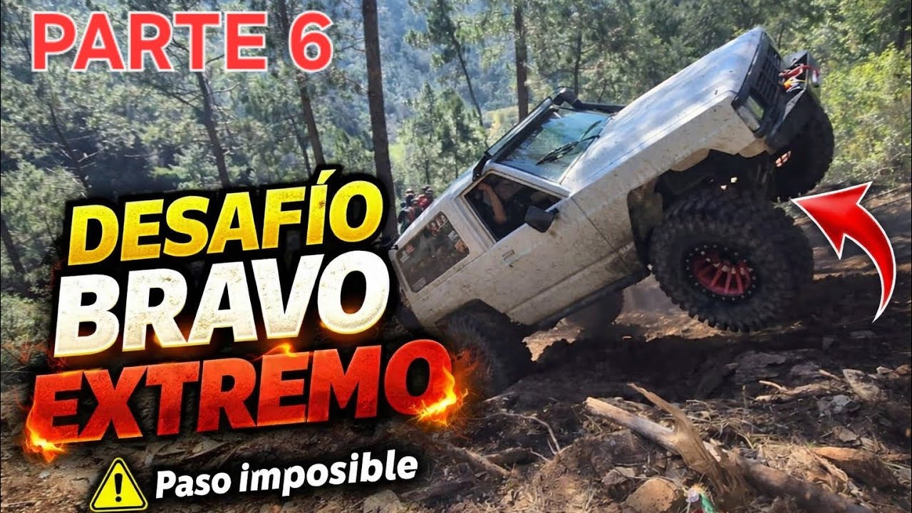 TRILHOS DE FAVAIOS-PASSEIO 2026