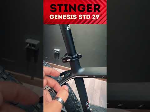 Важный нюанс карбоновой рамы на горном велосипеде Stinger Genesis Std 29' -2023-
