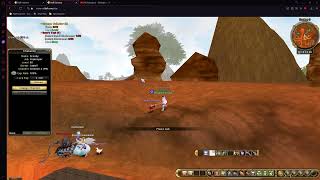 FLYFF UNIVERS BOTTING REPORT