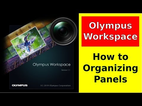 Olympus Workspace Tutorial: Organizing Panels/Palettes ep.201