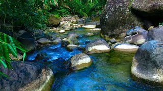 Relaxing Nature Sounds For Stress Relief, Beautiful flowing water in forest, Mountain stream sounds