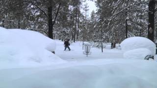 The Daily Putt 12-22-15