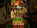 Antes do galo cantar - Reggae Gospel | Alfa e Ômega Ritmos