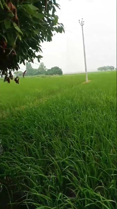 Download lagu saban A🌧️ya🌧️ Badal,z