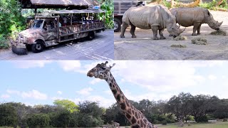 Kilimanjaro Safaris at Disney's Animal Kingdom 2023 Ride POV Experience in 4K | Walt Disney World