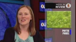 Week in Review Episode 611 - 1 of 5