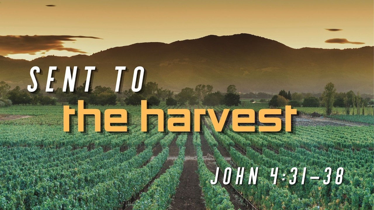 John 4:31-38 | Sent To The Harvest | Pastor Jason Mull - YouTube
