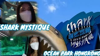 Shark Mystique Ocean Park Hongkong Juvs Tv