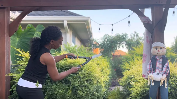 Transforming an Overgrown Garden Maze into a Tranquil Oasis