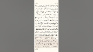 صفحة ( 166 ) #سورة_الأعراف مكتوبة مكررة بصوت #ماهر_المعيقلي #الجزء_التاسع #قرآن #تلاوات #quranic