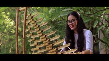 Nguyễn Hồng Ngọc độc tấu đàn T