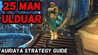 Auriaya Boss Ulduar 25 man Wotlk Tactics - How To Kill Boss with Cats - Ulduar 25 man - @pov-game