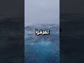 اذا سمعت هذا الصوت غادر المكان فورا شورت اكسبلور معلومات اذا سمعت هذا الصوت غادر المكان فورا شورت اكسبلور معلومات