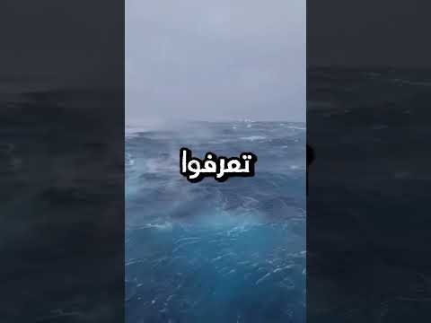 اذا سمعت هذا الصوت غادر المكان فورا شورت اكسبلور معلومات