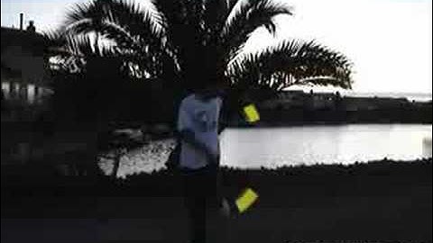 CHeNeRiC 6 Month Progress