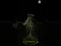 Trapped Lightning in a Bottle? Mind-Blowing Science Experiment