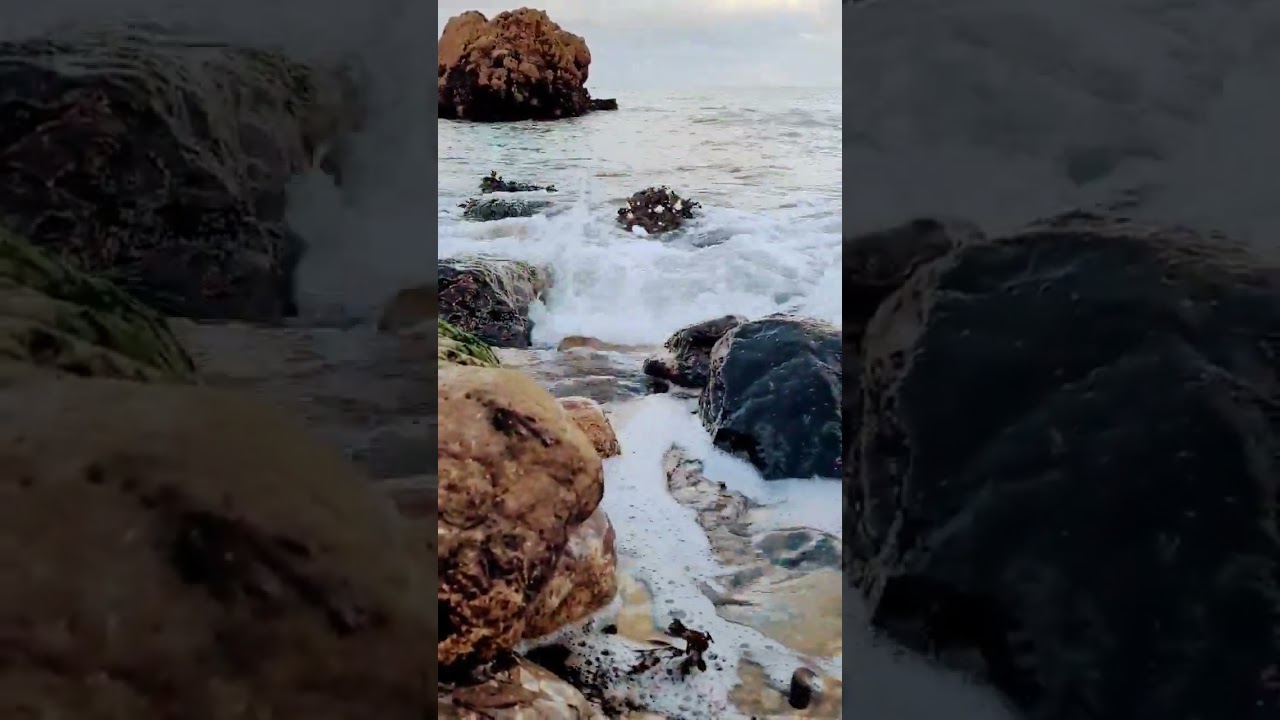 Смотреть «#tidal #relax #waves #tranquility #oceansounds #sleep #meditation #ocean #oceanwaves #soothing #wind» на YouTube Смотреть «#tidal #relax #waves #tranquility #oceansounds #sleep #meditation #ocean #oceanwaves #soothing #wind» на YouTube