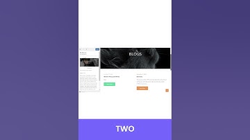 3 Best WordPress Themes for Pet Care Sites