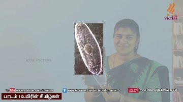 KITE Palakkad STD 6 Basic Science Chapter 1 Episode 1 (First bell Tamil medium - பஸ்ட் பெல்)