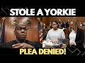 Judge Simpson &amp; Courtroom Silenced By Mother’s Heartbreaking Reason For Stealing A Yorkie